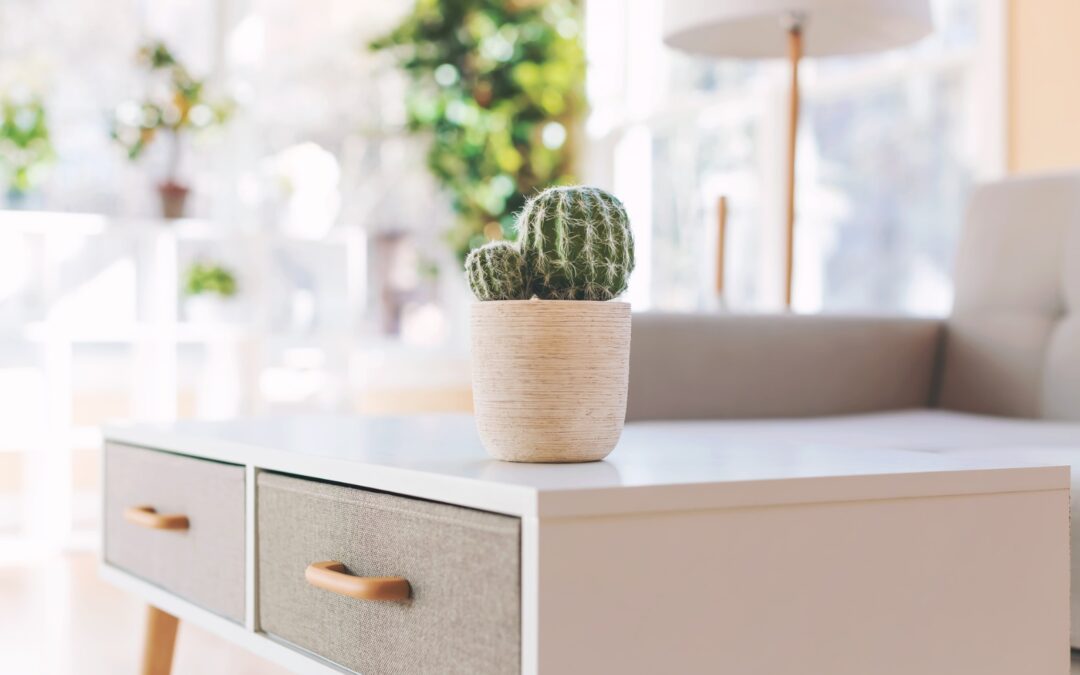 El minimalismo como estilo de vida